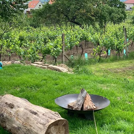 Za Vinicí *