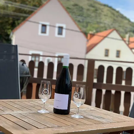 Za Vinicí